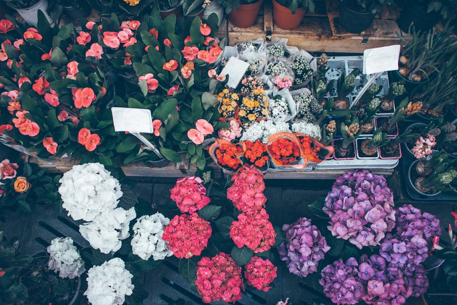 A vibrant display of flowering plants and floral arrangements at a florist shop, featuring bright pink, white, purple, and orange blossoms. The flowers include pink hydrangeas, white carnations, purpl