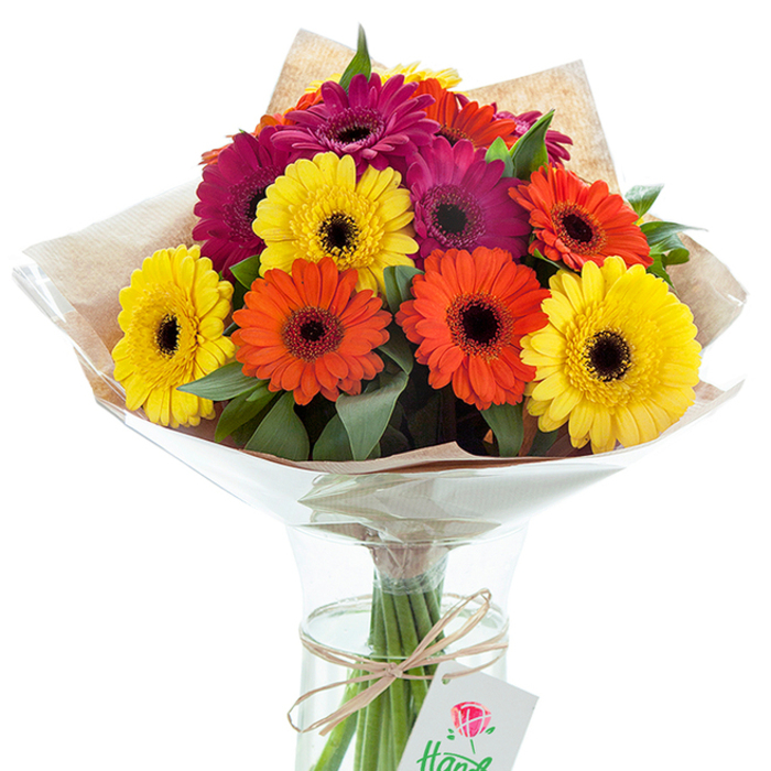 Bathed in soft daylight, a spectacular bunch of fresh Gerbera daisies comes to life in a clear, subtly hourglass-shaped vase, the perfect embodiment of Lee's warm community spirit. The arrangement presents an enthralling symphony of colour: dazzling yellow, bold orange, and sumptuous magenta daisy petals splay outward from rich, darkly-contrasting centers. Interspersed among the blossoms, lush green foliage introduces a natural depth and dimensionality reminiscent of a stroll through nearby Manor House Gardens. The upper stems are wrapped first in rustic, light brown kraft paper, whose earthy tone and gentle texture lend an organic, heartfelt touch to the bouquet-a nod to the simple pleasures of weekend flower markets along Burnt Ash Road. A second outer cocoon of gleaming, transparent cellophane fans out protectively around the flowers, catching the light and offering hints of the flowers' delicate scent. The lower stems, neatly trimmed and freshly arranged, are visible through clear water in the vase, emphasizing the blooms' vitality. A length of natural twine binds the bouquet and secures a dainty, white gift tag, its artistic rose emblem and handwritten script barely visible but beautifully evocative. This display, crafted by skilled local florists in Lee, invokes themes of celebration, cheer, and meaningful connection, perfectly suited to gifting for anniversaries, 'get well soon' wishes, or as an uplifting centrepiece for gatherings at homes across the SE12 postcode. Each element, from the expert wrapping to the rhythmic bouquet design, reflects local artistry and heartfelt care.